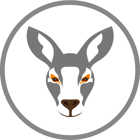 Safari wallet logo