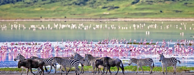 Ngorongoro Crater & Tarangire National Park Experience