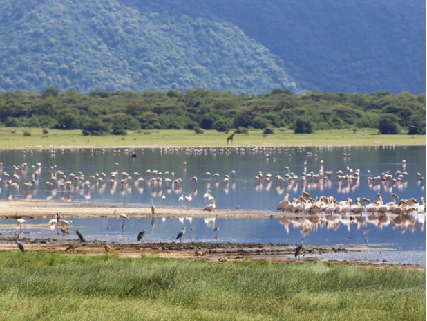 2 Days Lake Manyara & Ngorongoro Crater